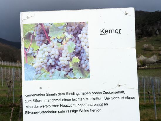 Hohe Loog, Neustadt
16. April 2023